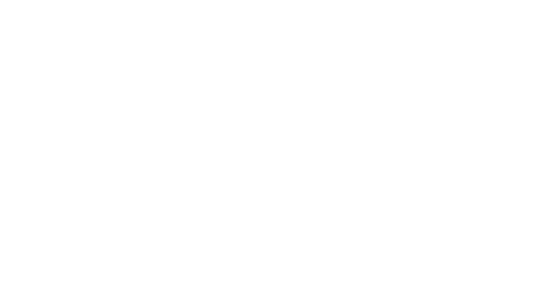 Toros Consultancy